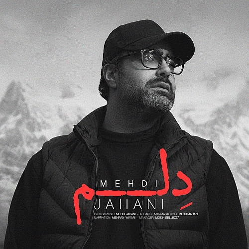 Cover artwork for Delam by Mehdi Jahani
